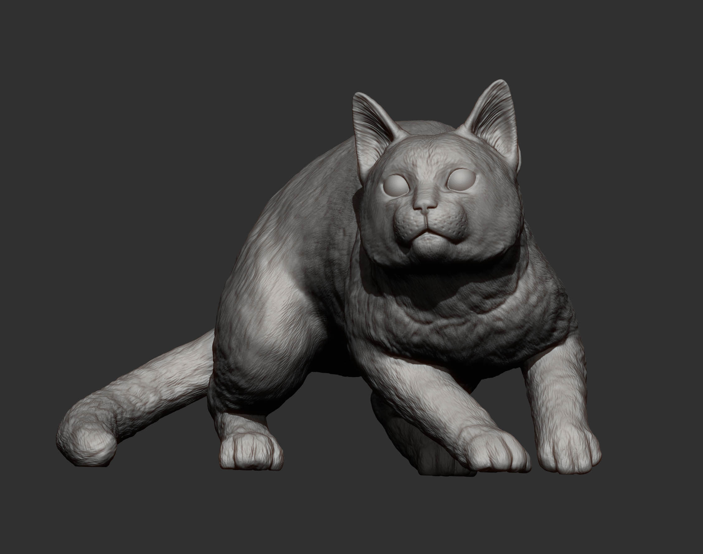 cat before the jump 3D print model_16