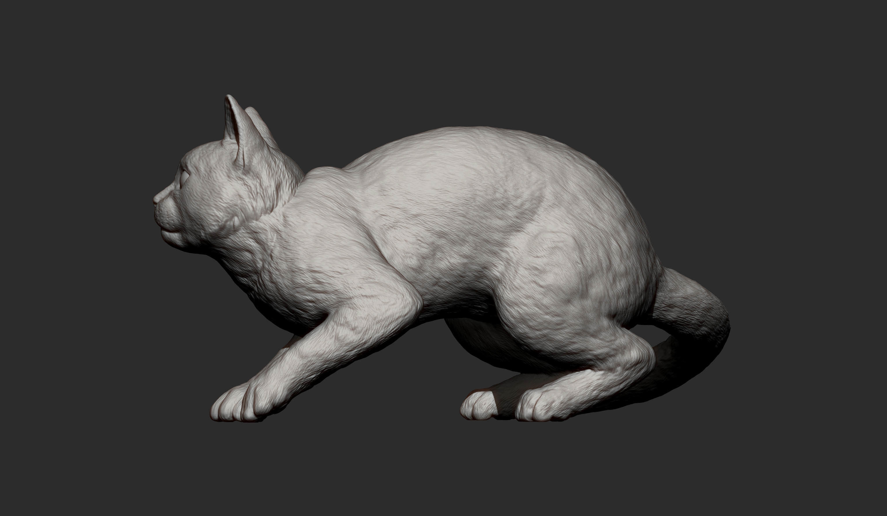 cat before the jump 3D print model_9