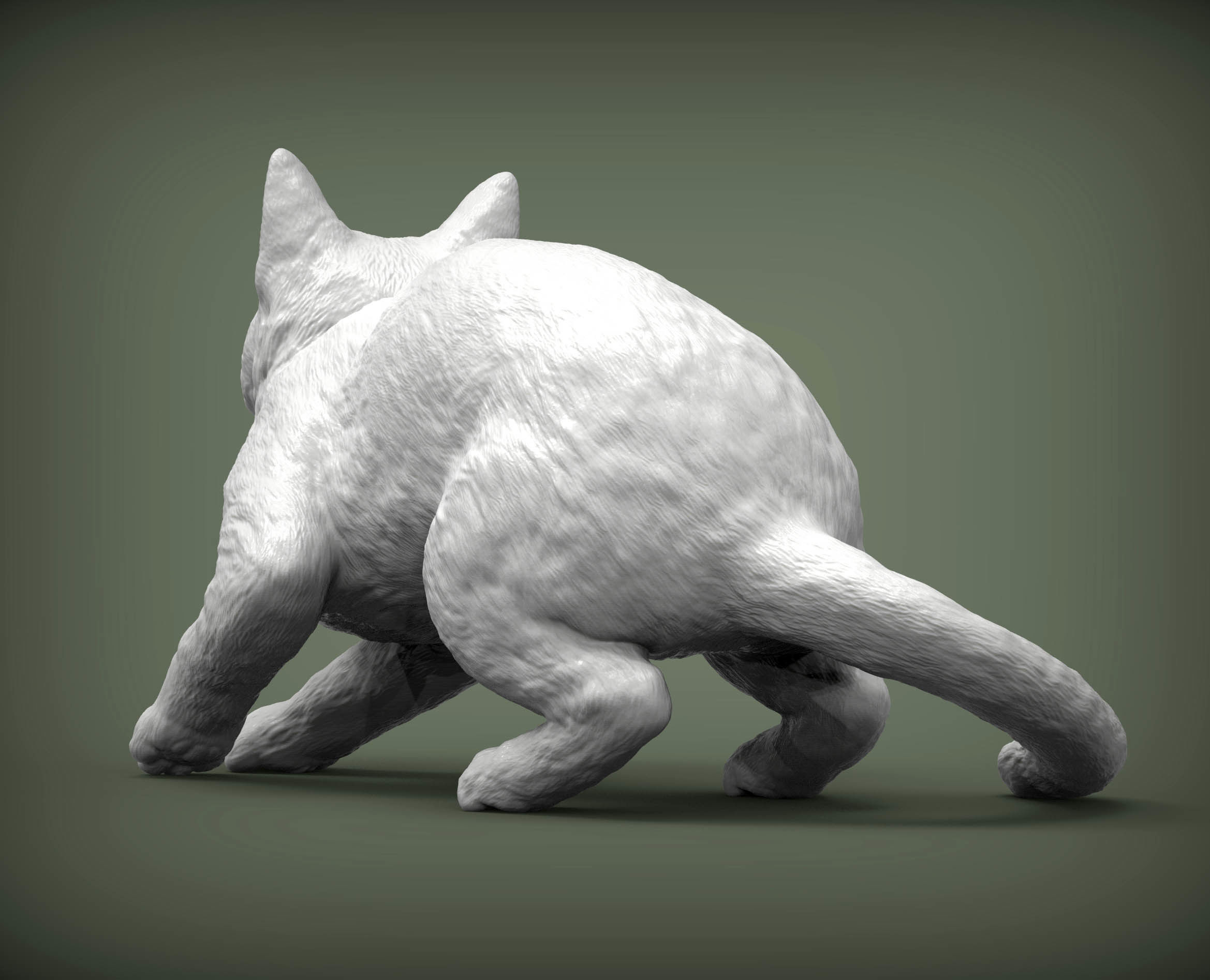 cat before the jump 3D print model_8