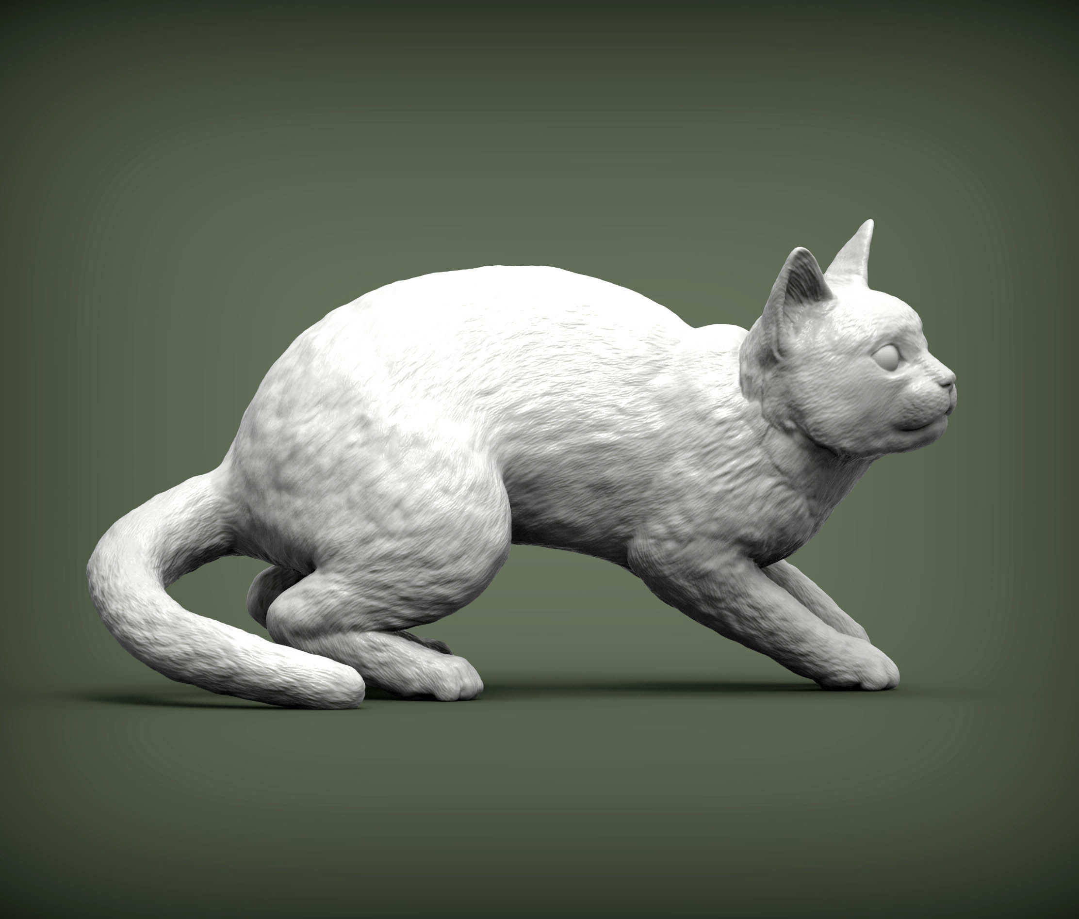 cat before the jump 3D print model_6
