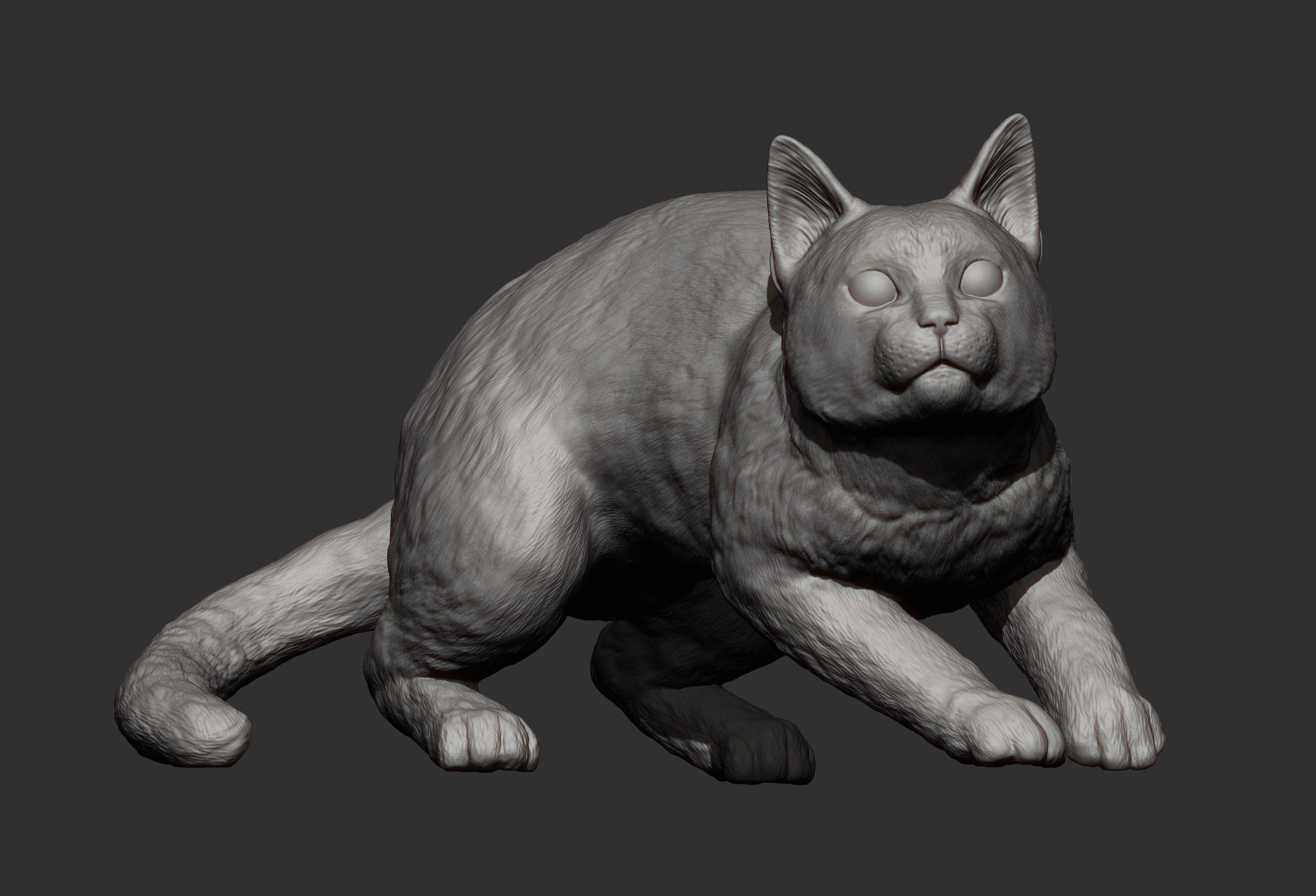 cat before the jump 3D print model_12