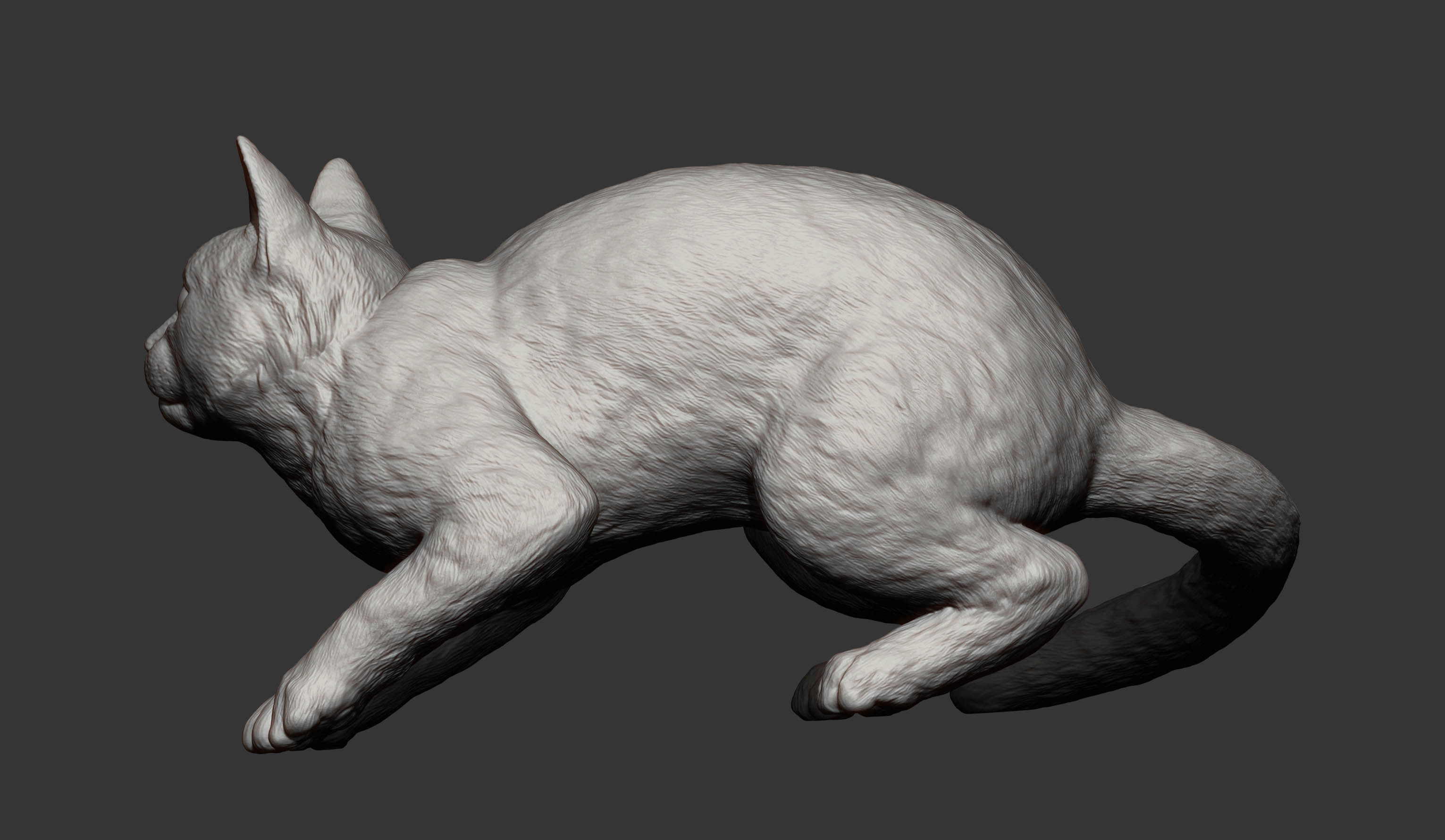 cat before the jump 3D print model_14
