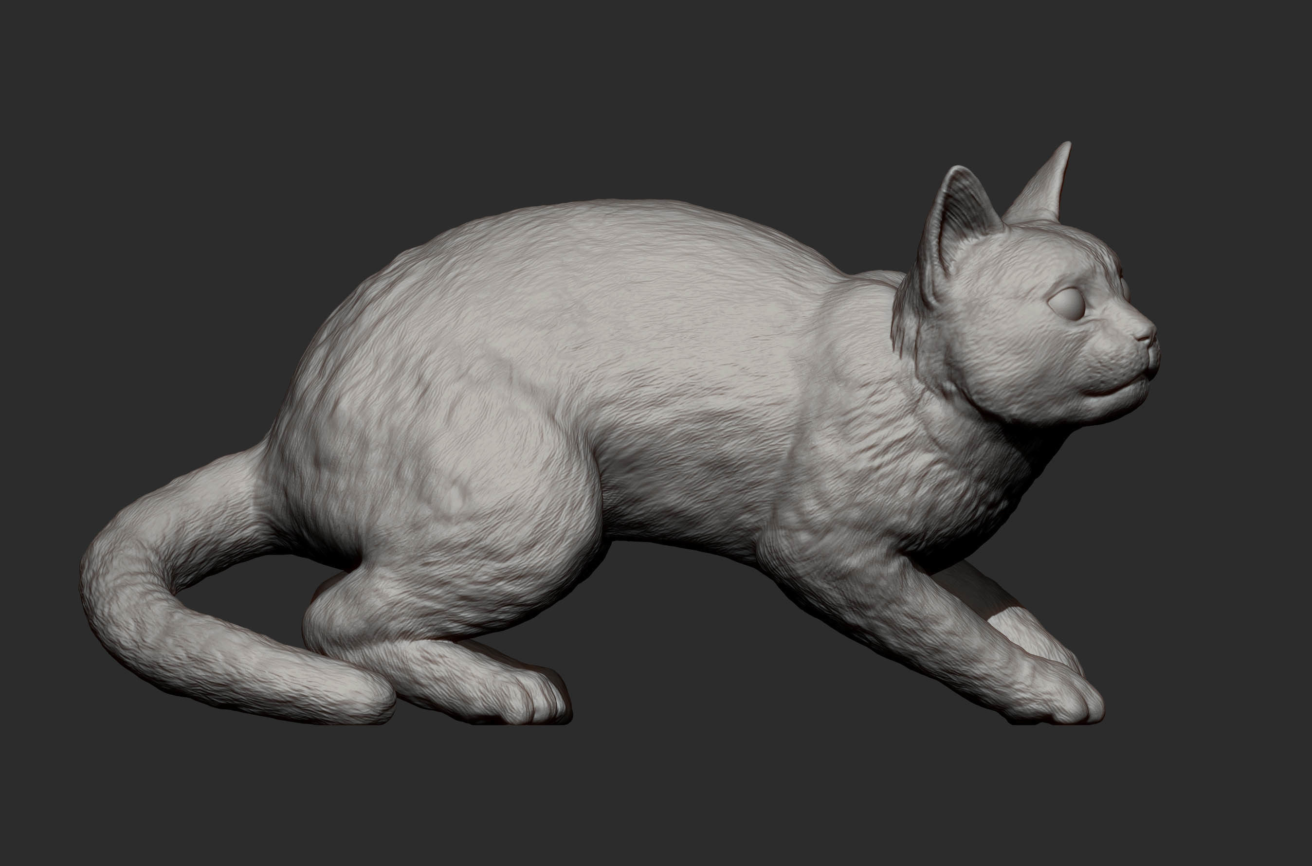 cat before the jump 3D print model_4