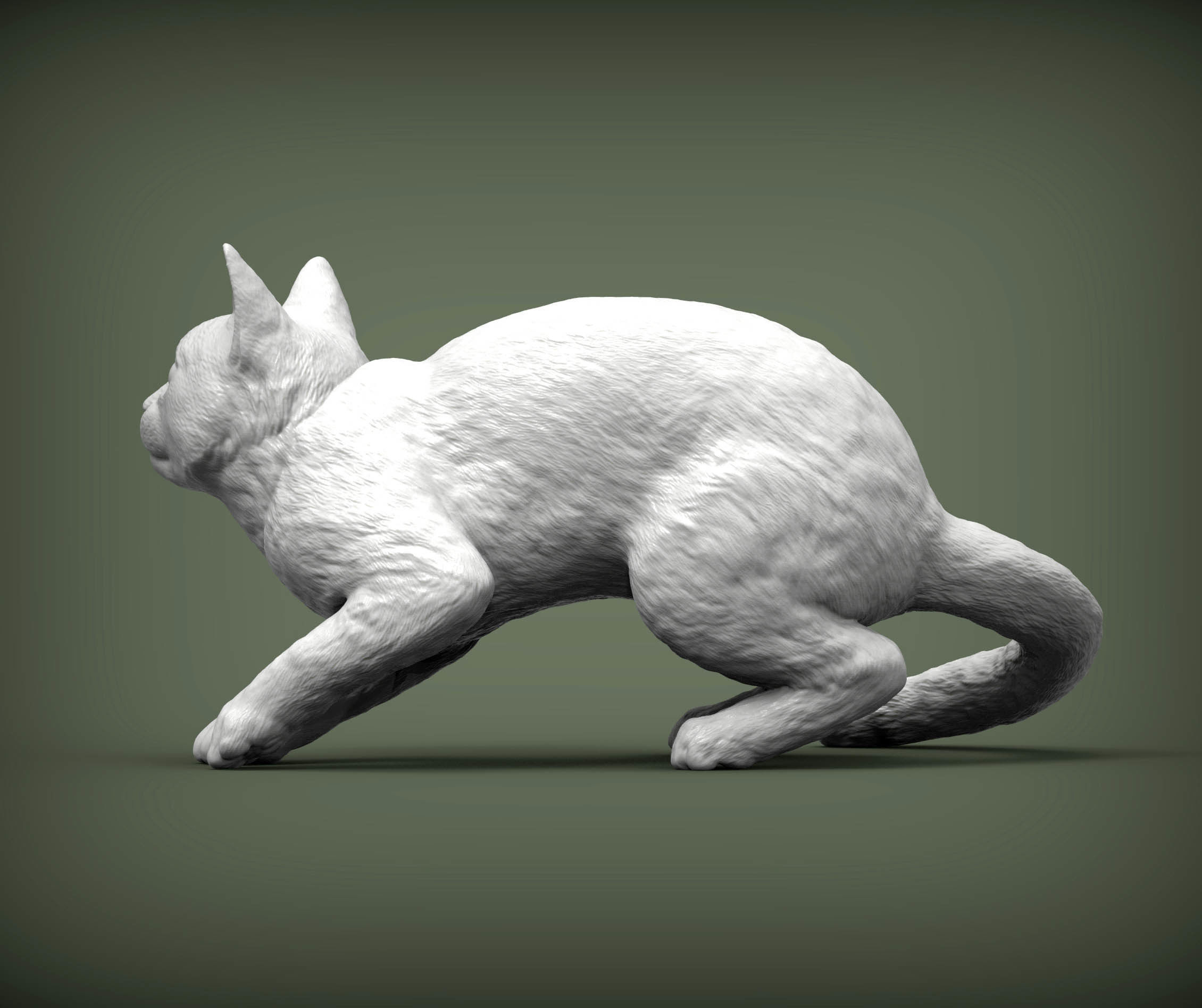 cat before the jump 3D print model_3