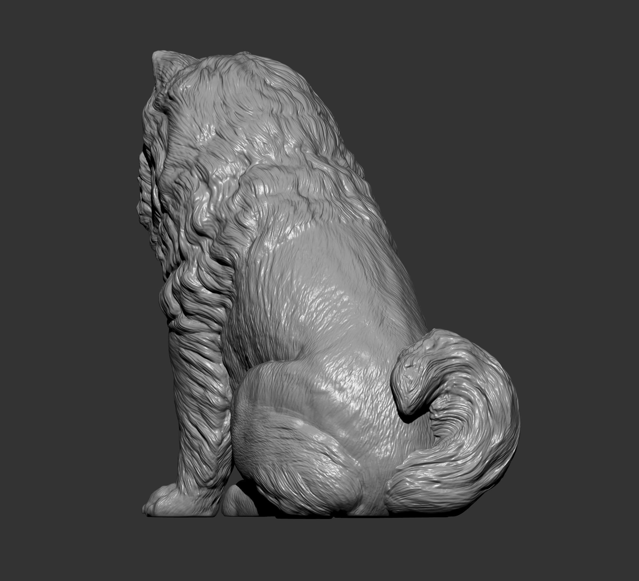 Chow chow sitting 3D print model_9