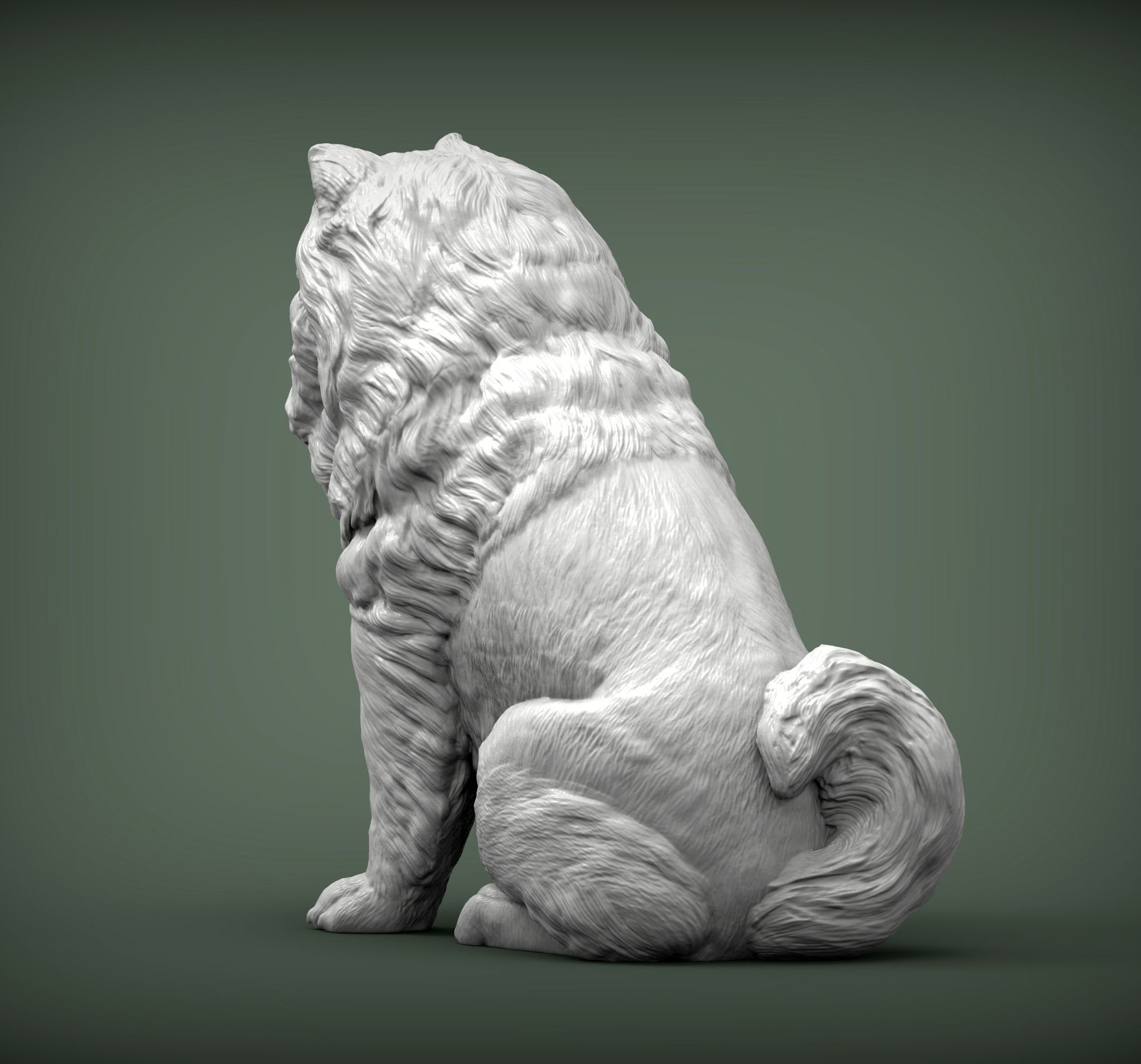 Chow chow sitting 3D print model_3