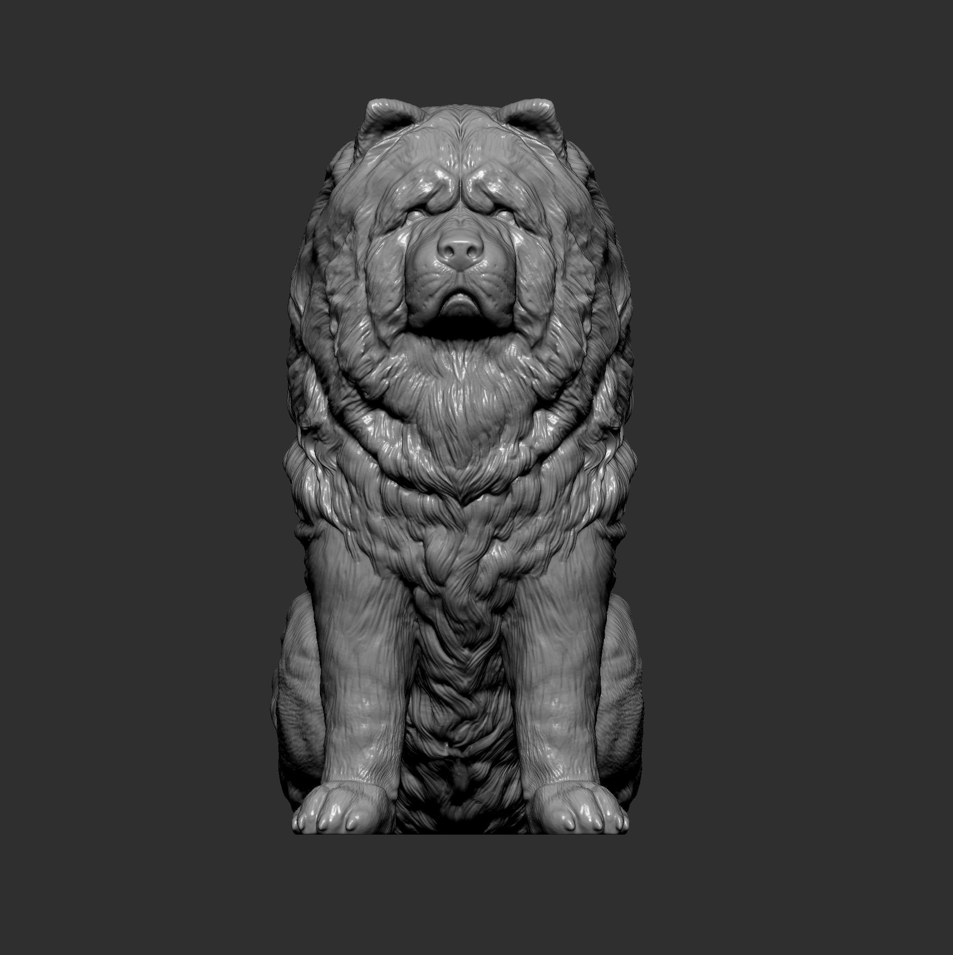 Chow chow sitting 3D print model_11