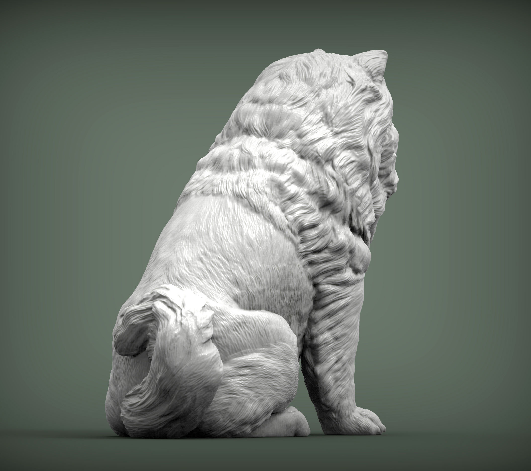 Chow chow sitting 3D print model_6