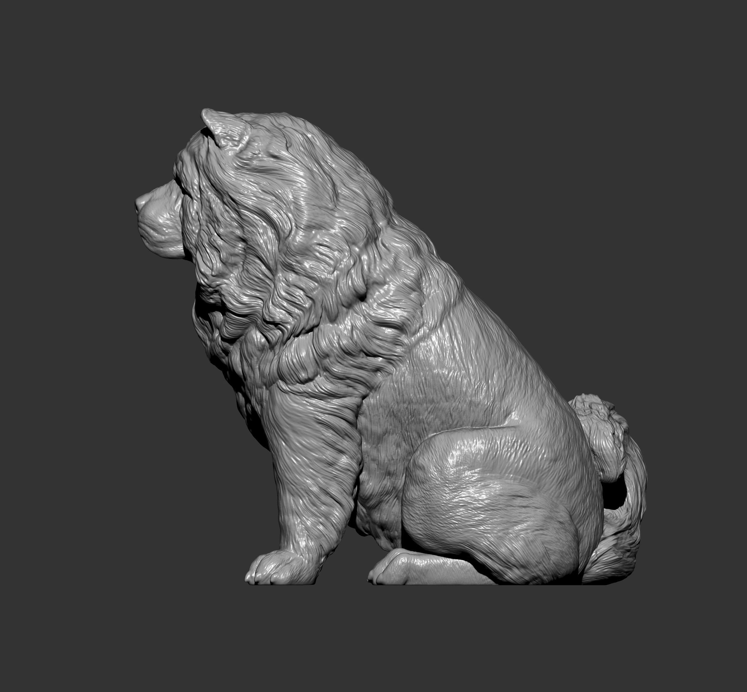 Chow chow sitting 3D print model_13