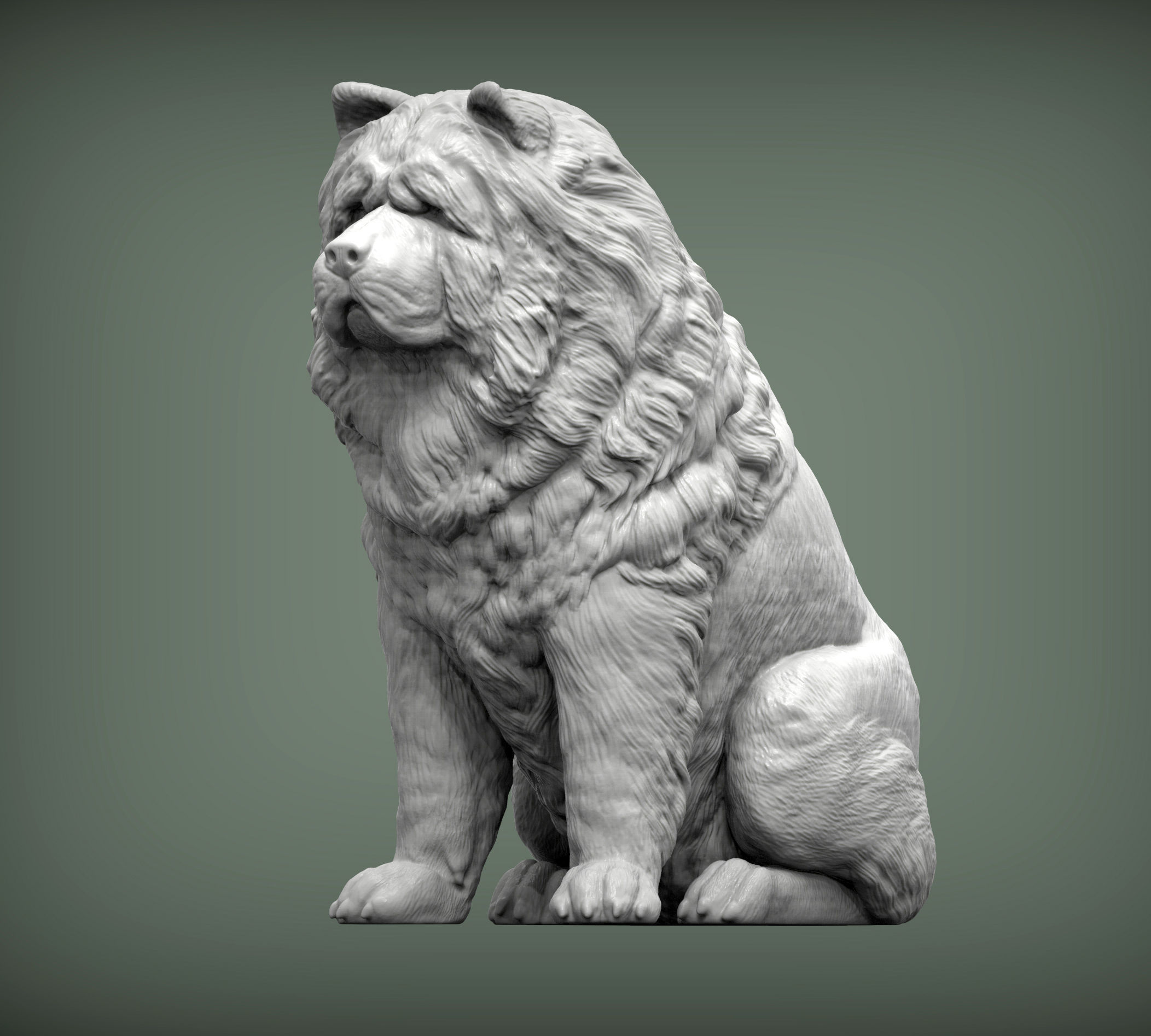 Chow chow sitting 3D print model_4