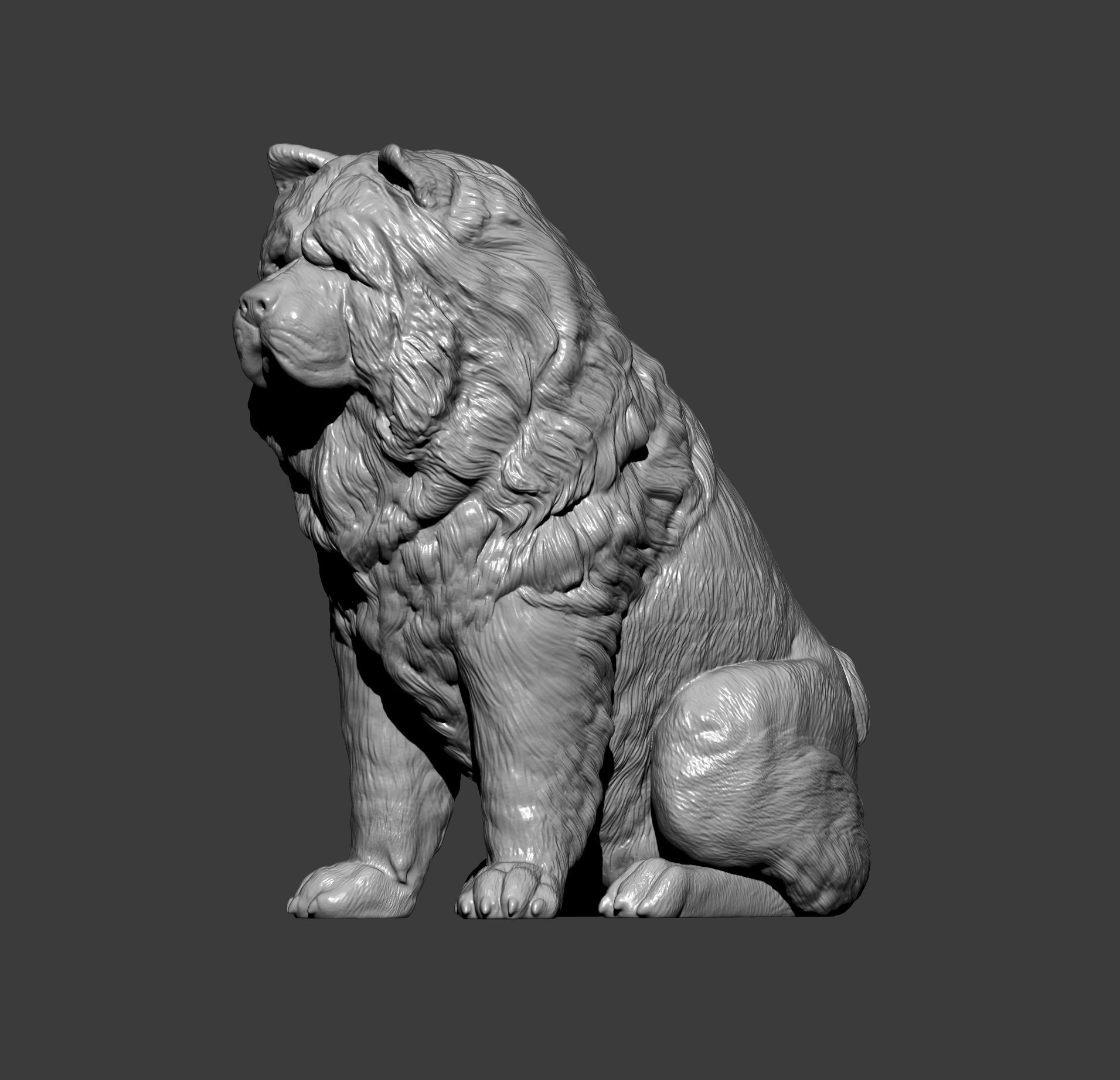 Chow chow sitting 3D print model_7
