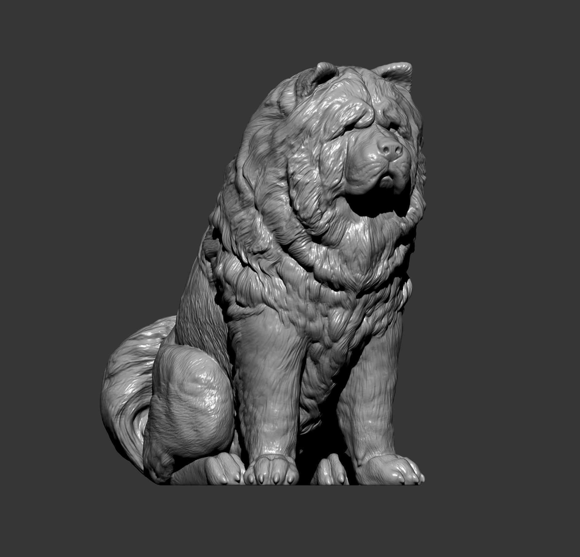 Chow chow sitting 3D print model_8