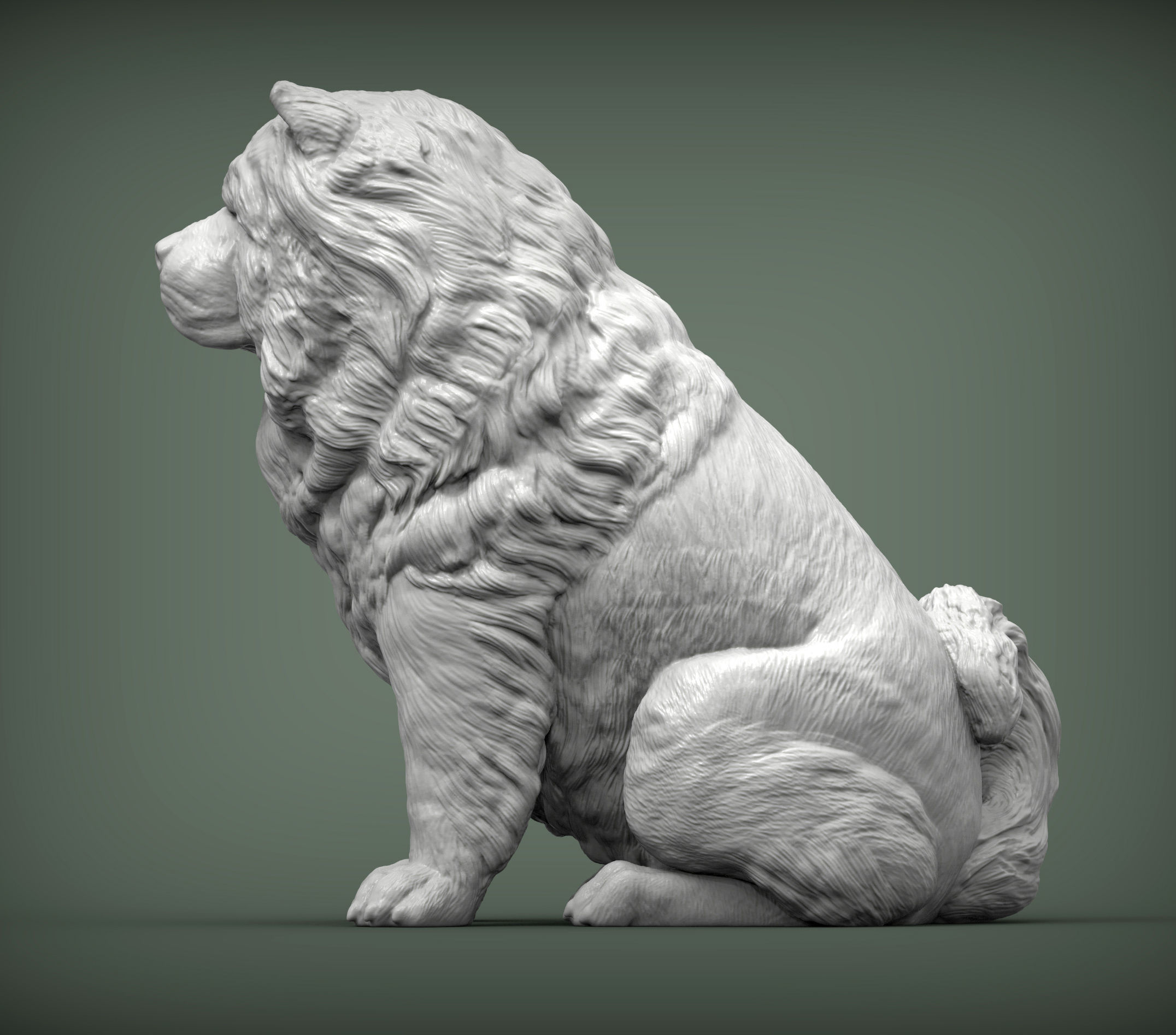 Chow chow sitting 3D print model_2