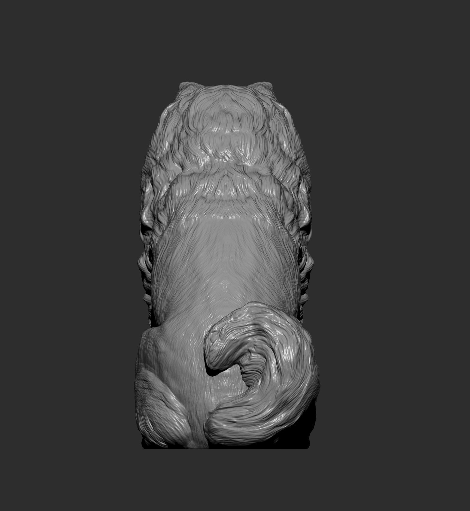Chow chow sitting 3D print model_10