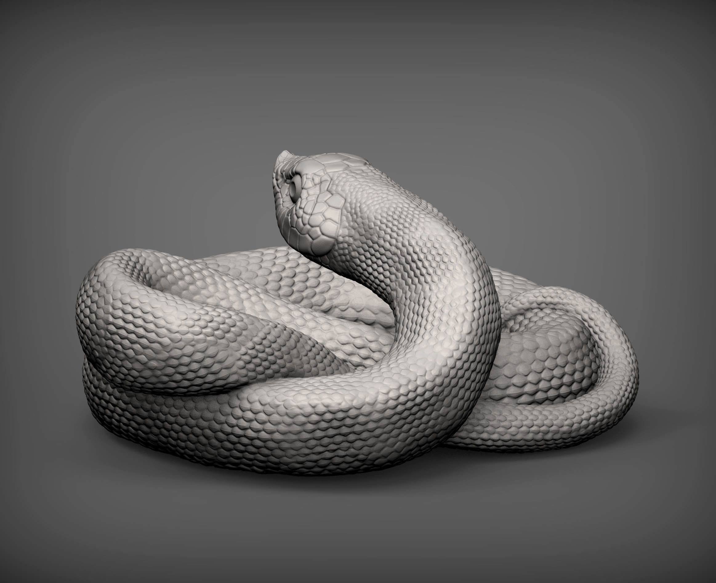Hognose snakes 3D print model_5