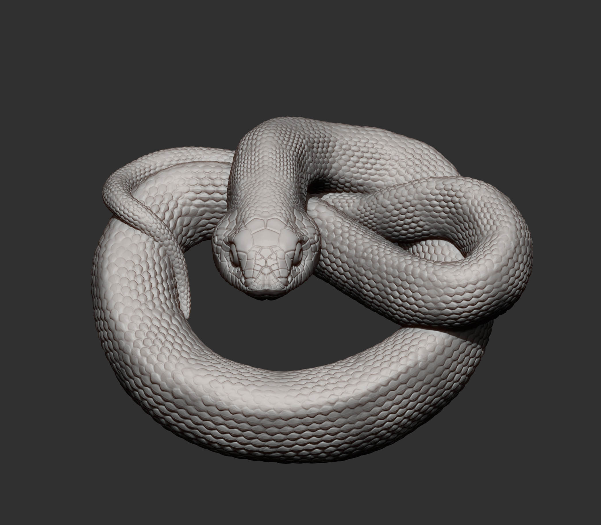 Hognose snakes 3D print model_12