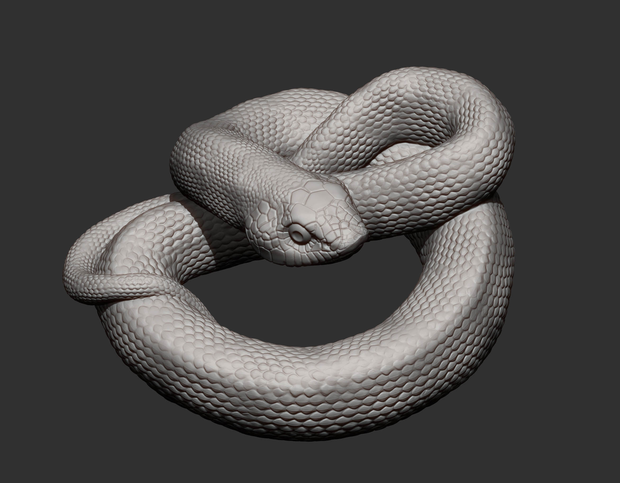 Hognose snakes 3D print model_6