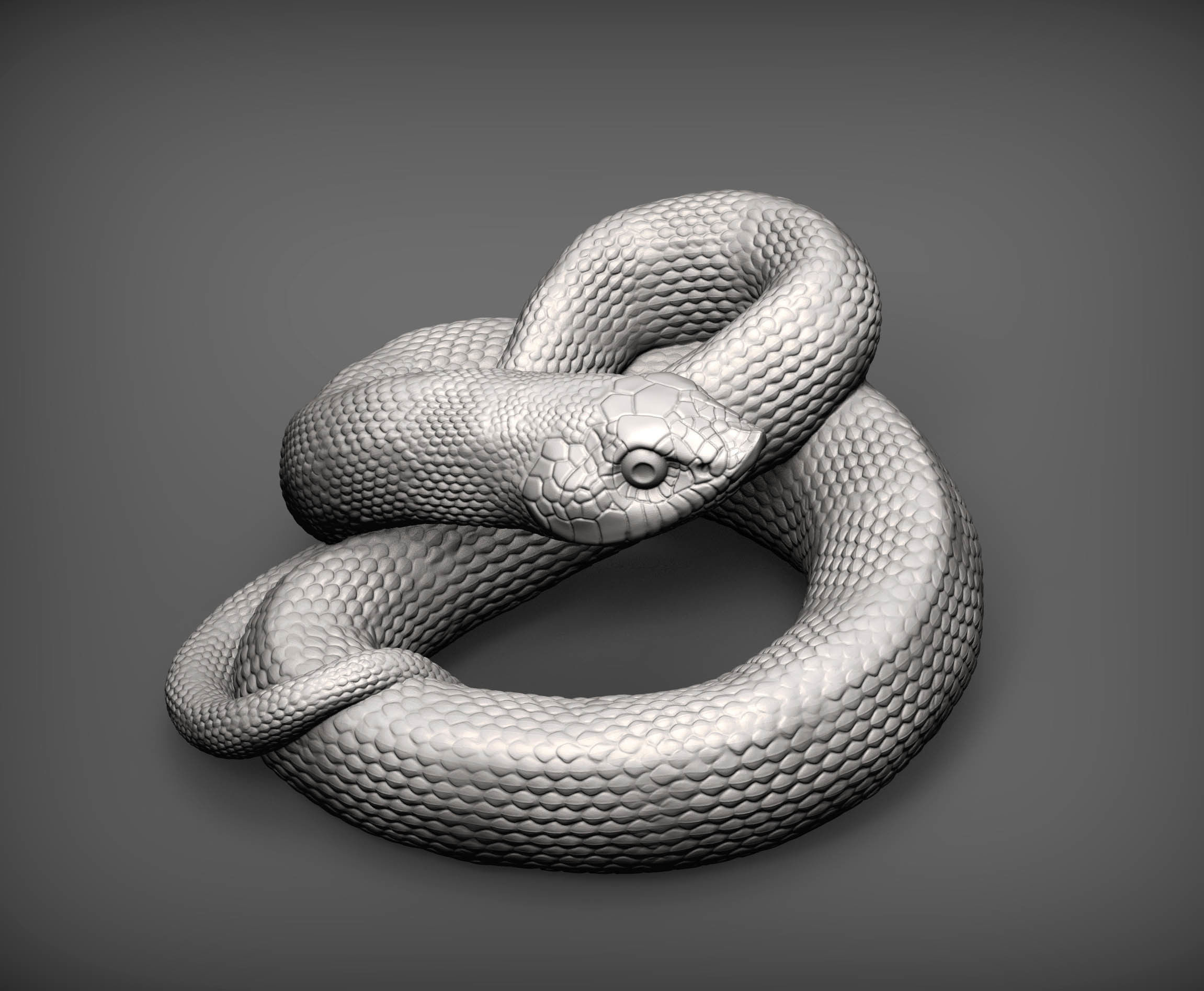 Hognose snakes 3D print model_2