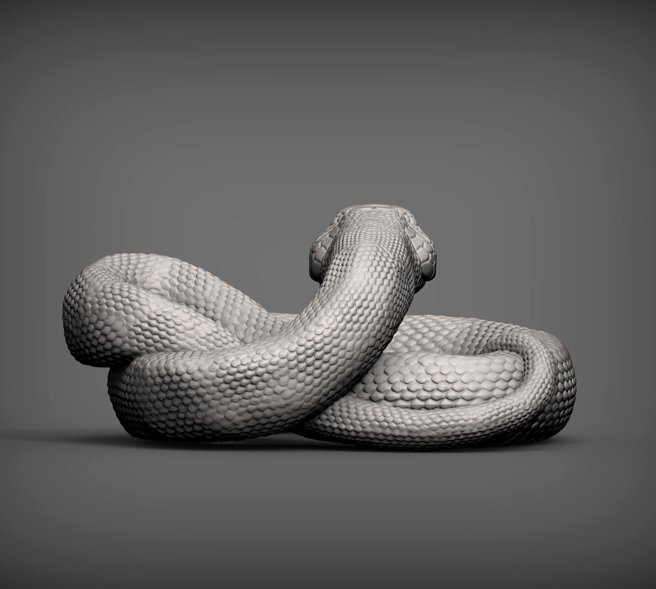 Hognose snakes 3D print model_7