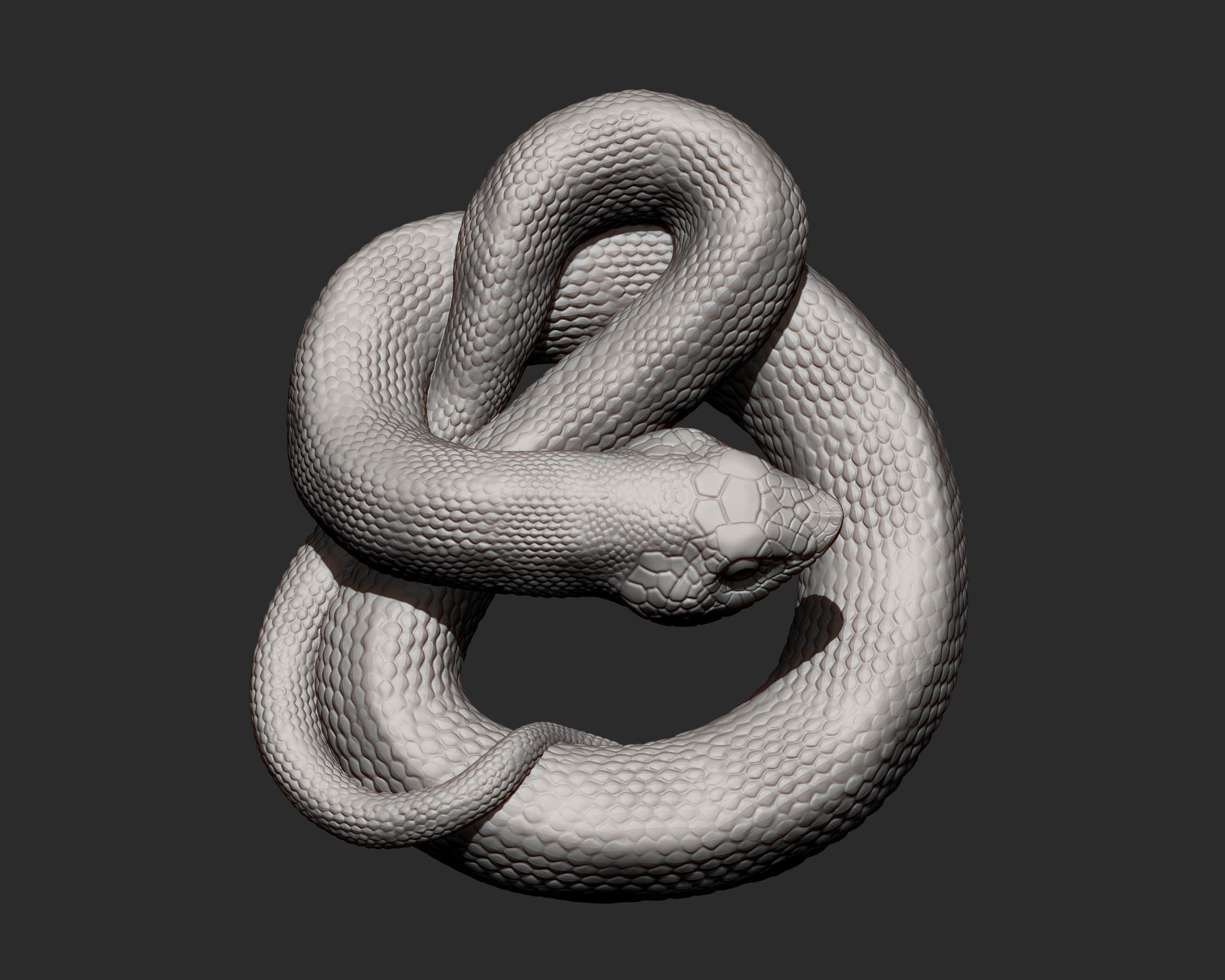Hognose snakes 3D print model_11