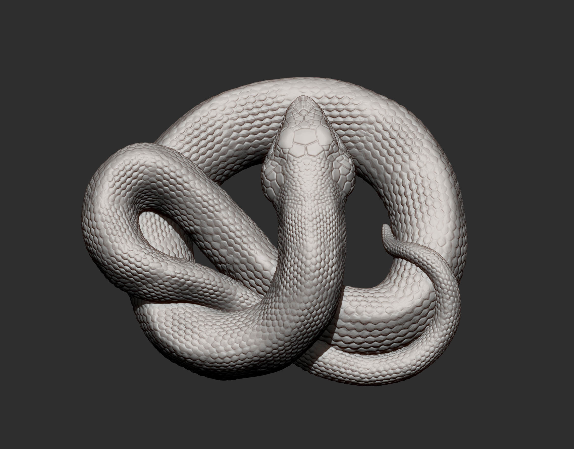 Hognose snakes 3D print model_10