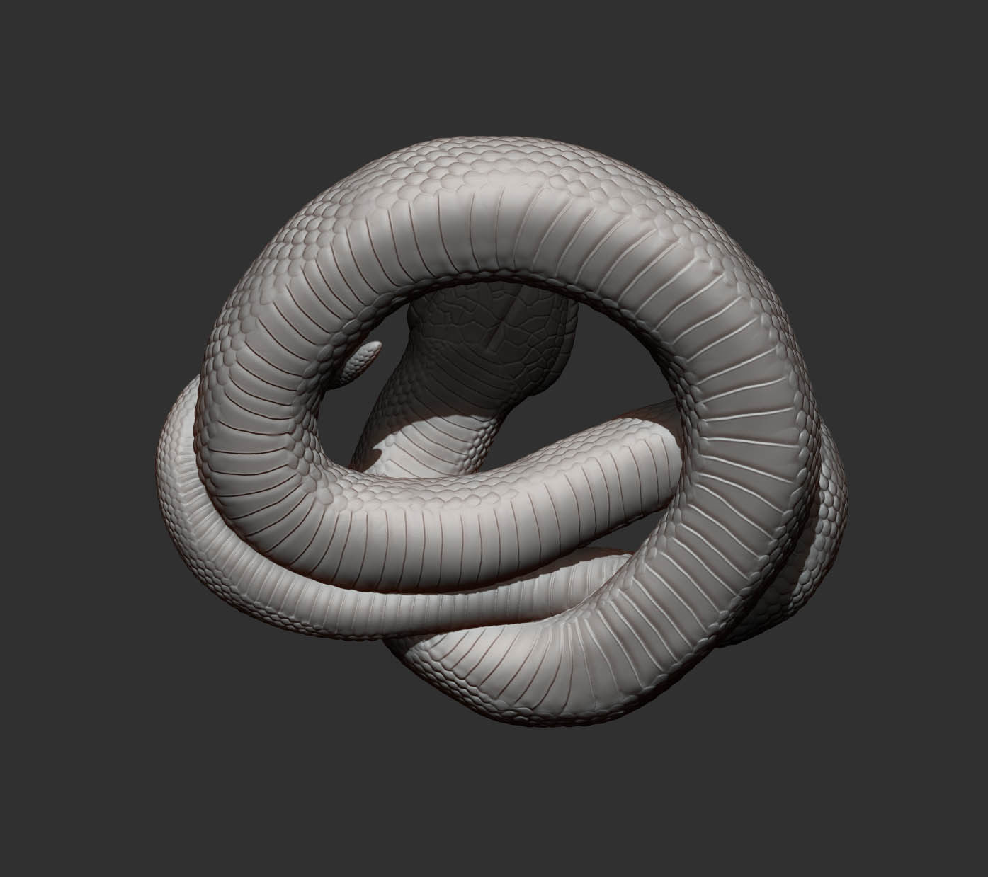Hognose snakes 3D print model_9