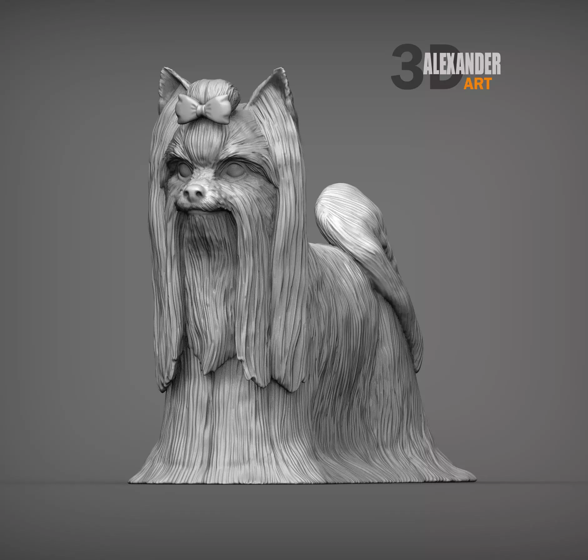 Long-haired yorkshire terrier 3D print model_0
