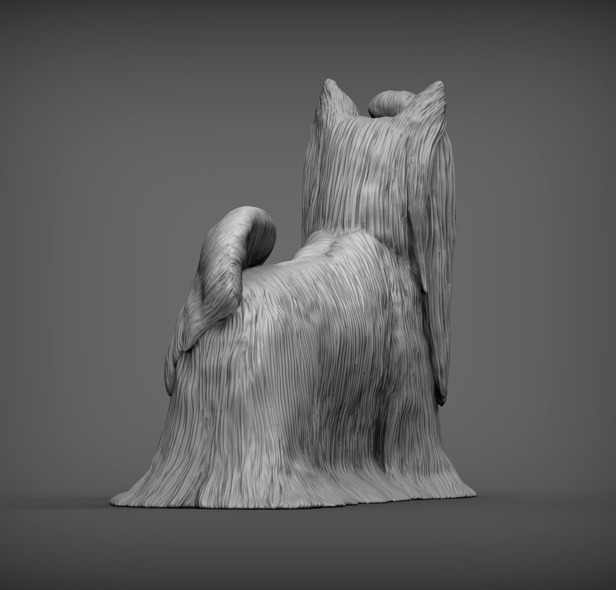 Long-haired yorkshire terrier 3D print model_7