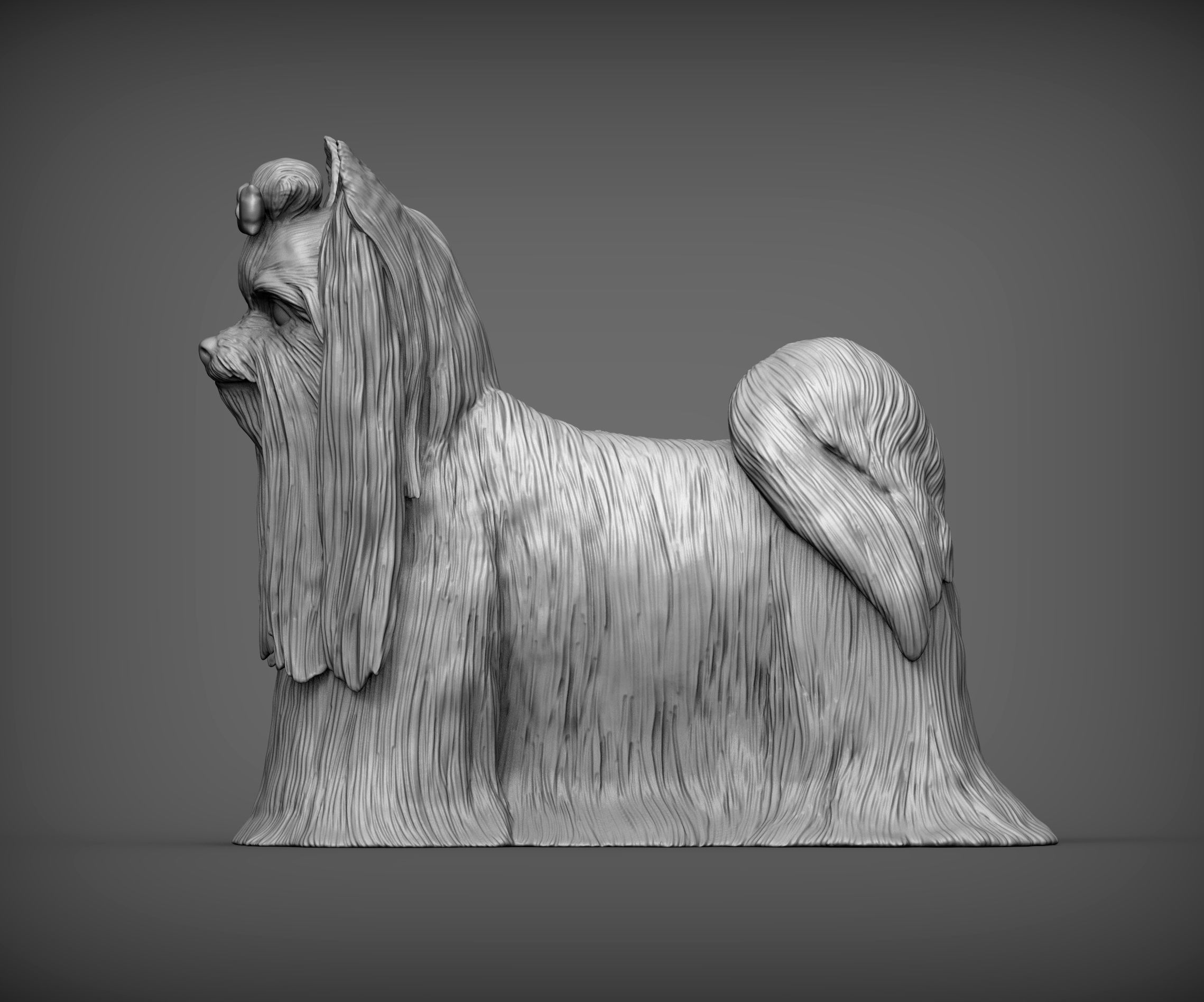 Long-haired yorkshire terrier 3D print model_2