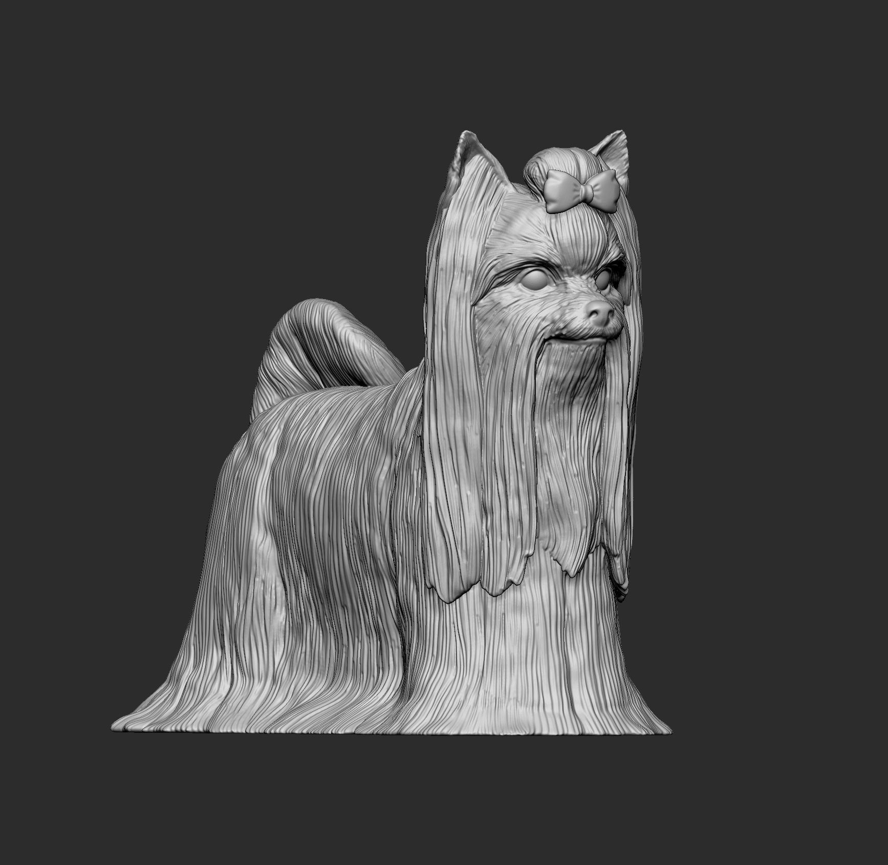 Long-haired yorkshire terrier 3D print model_9