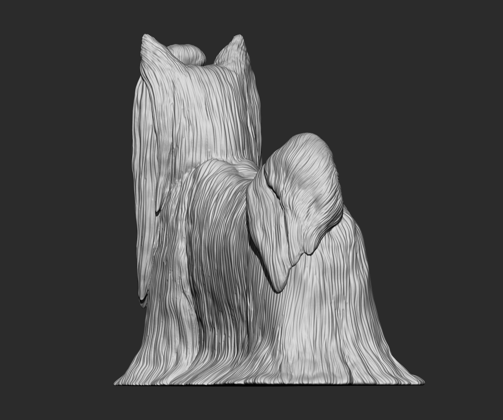 Long-haired yorkshire terrier 3D print model_11