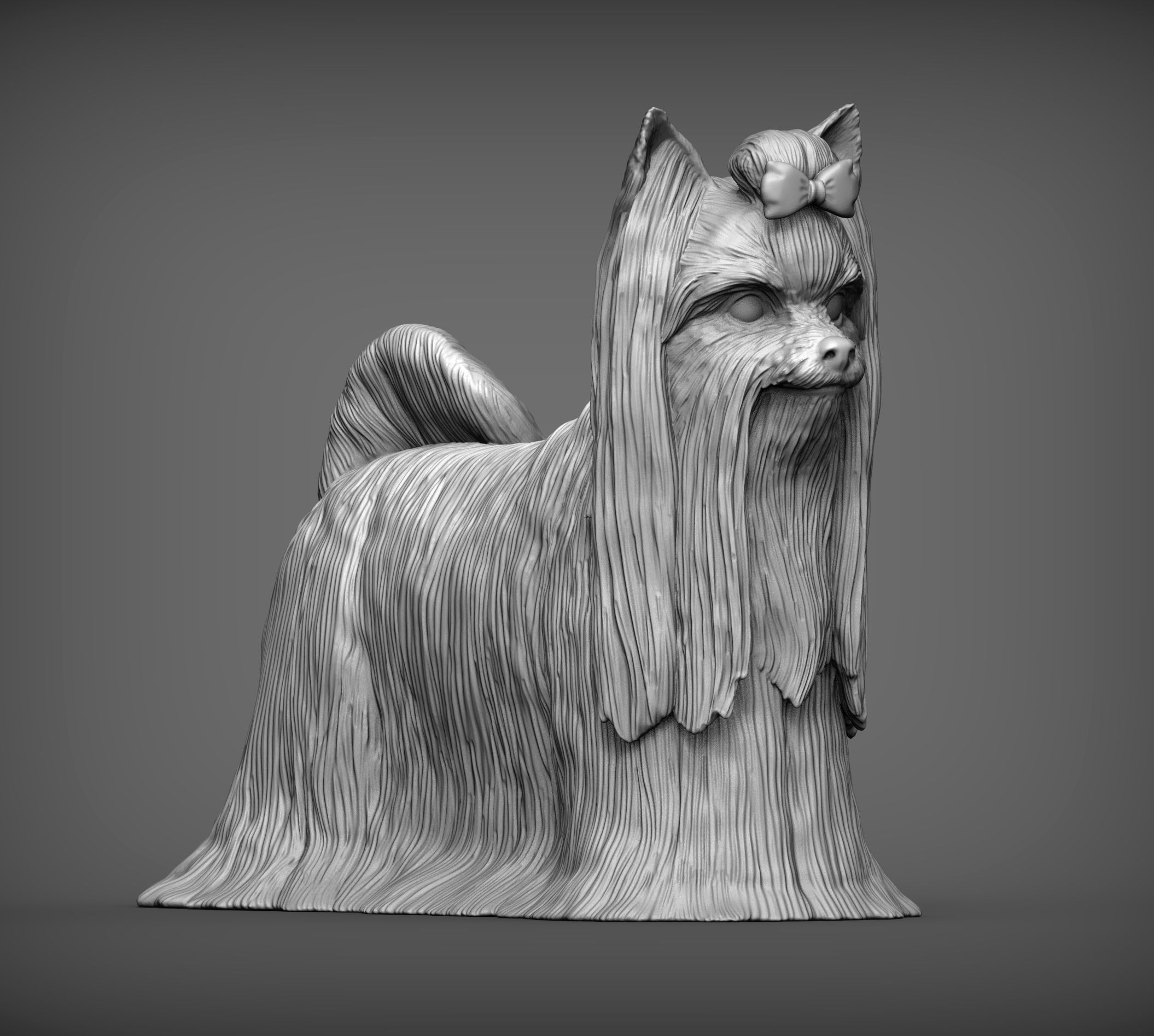 Long-haired yorkshire terrier 3D print model_4