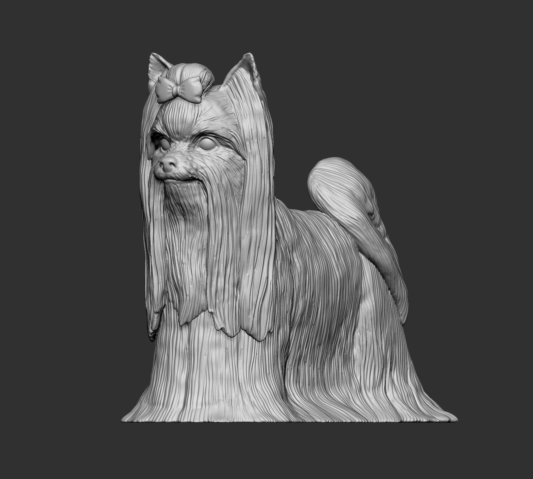 Long-haired yorkshire terrier 3D print model_8