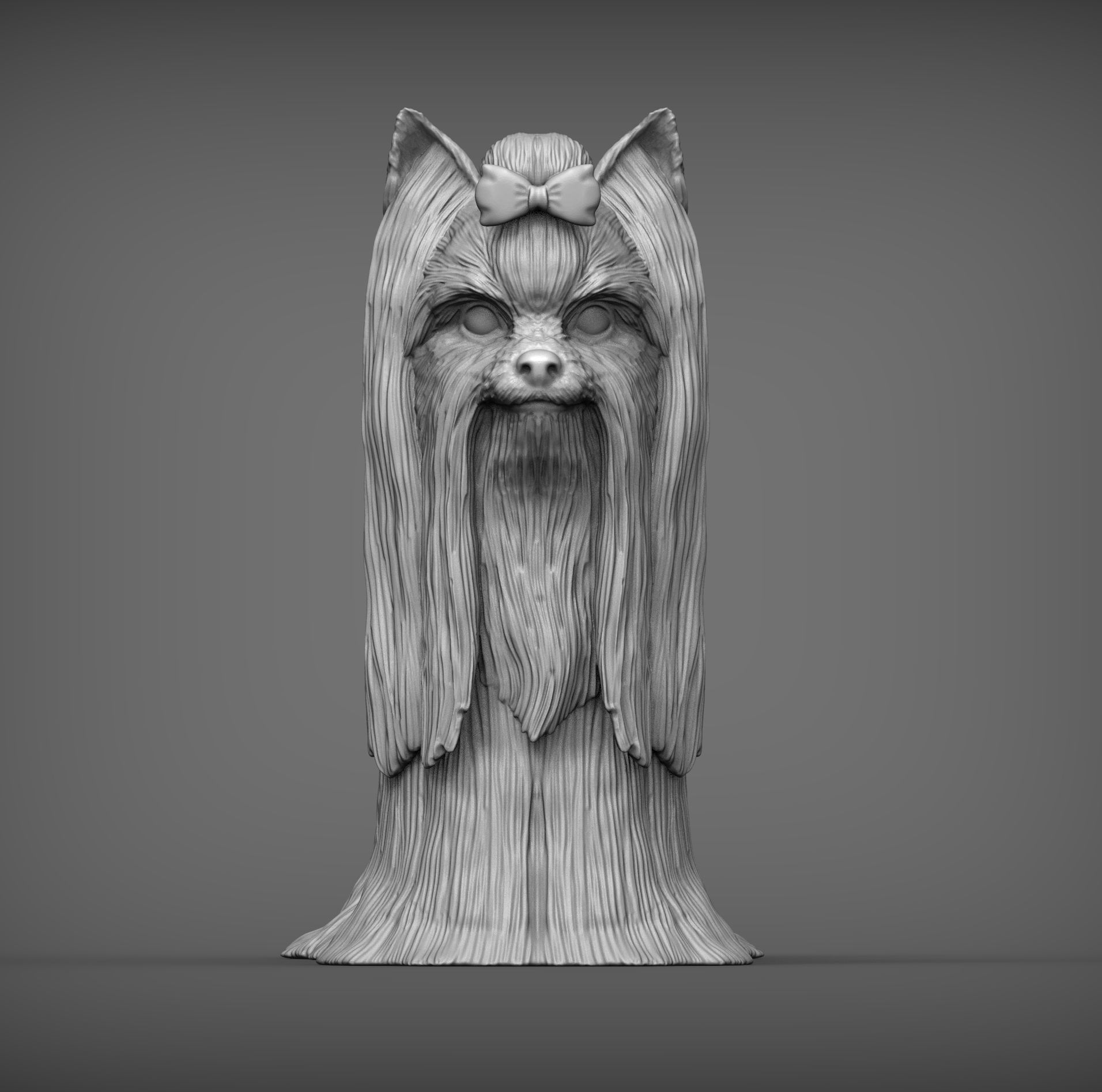 Long-haired yorkshire terrier 3D print model_3