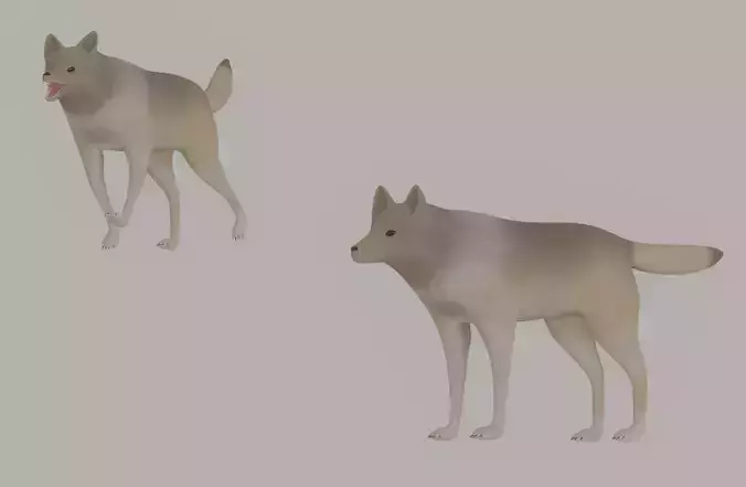 Wolf model 3D model
