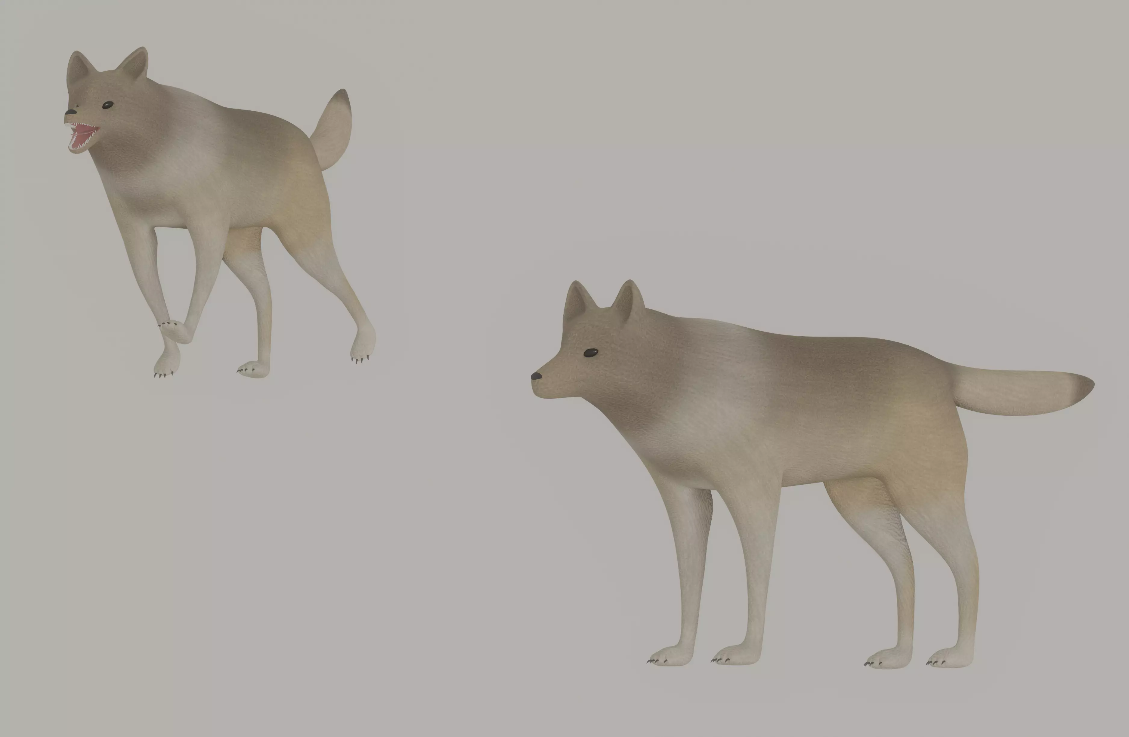 Wolf model 3D model