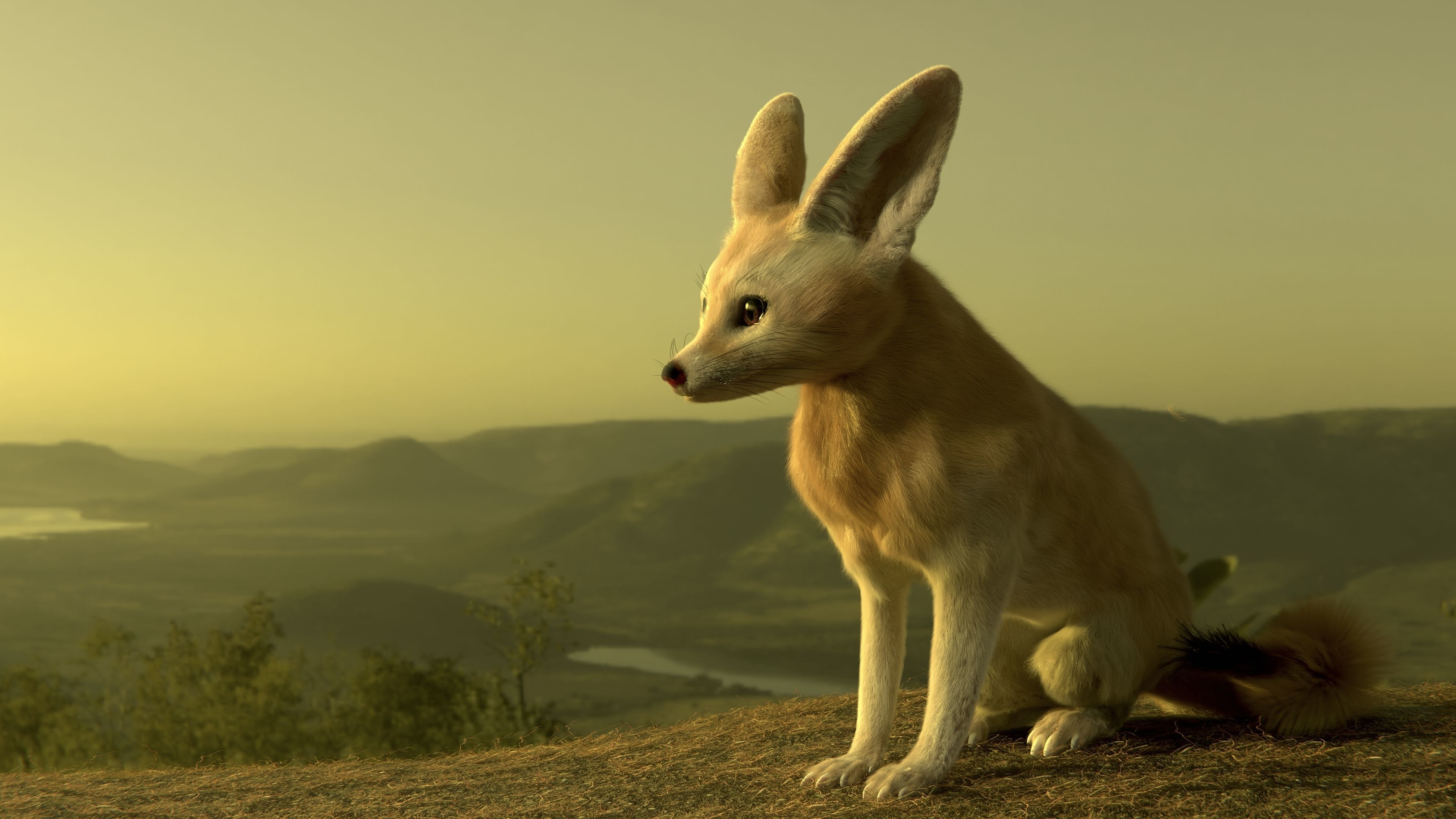 Fennec Fox Realism 3D model Low-poly 3D model_2