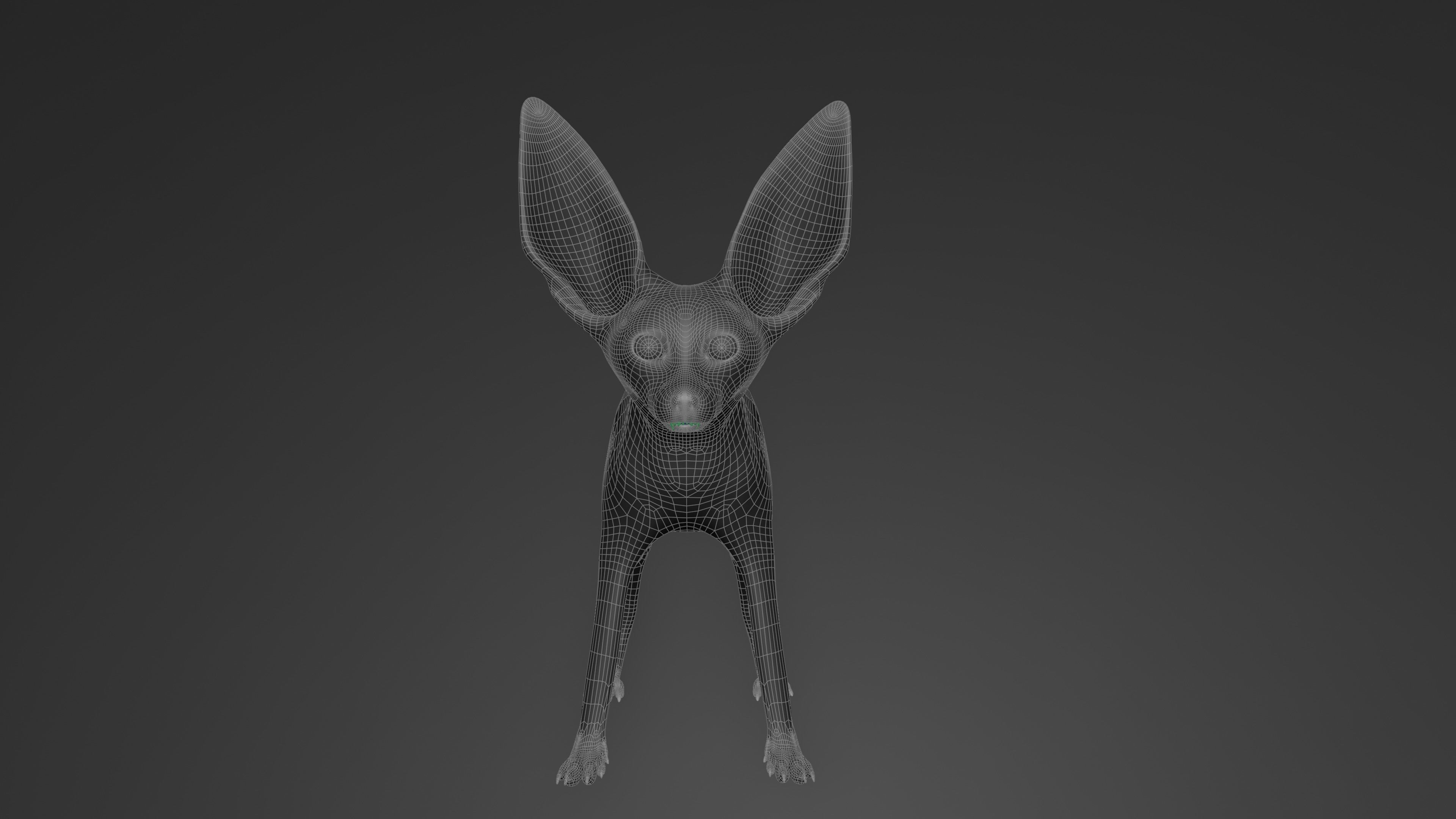 Fennec Fox Realism 3D model Low-poly 3D model_8