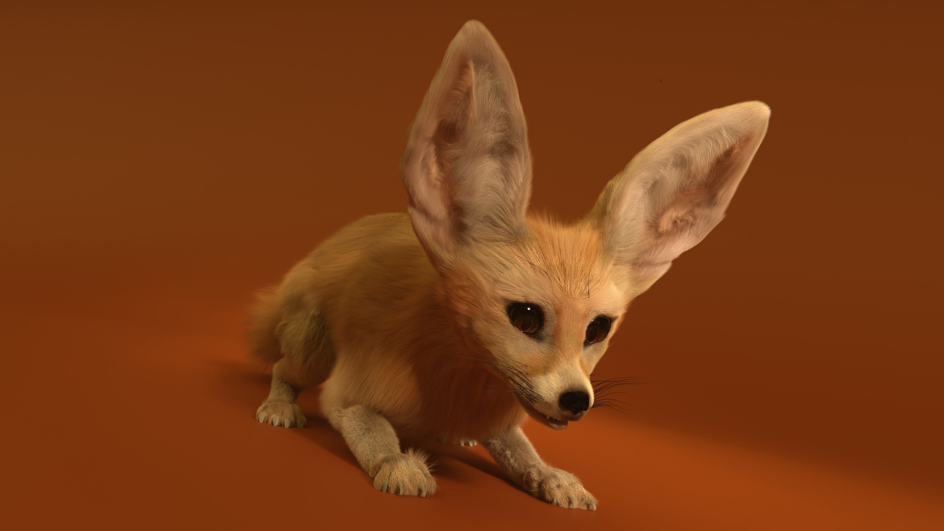Fennec Fox Realism 3D model Low-poly 3D model_5