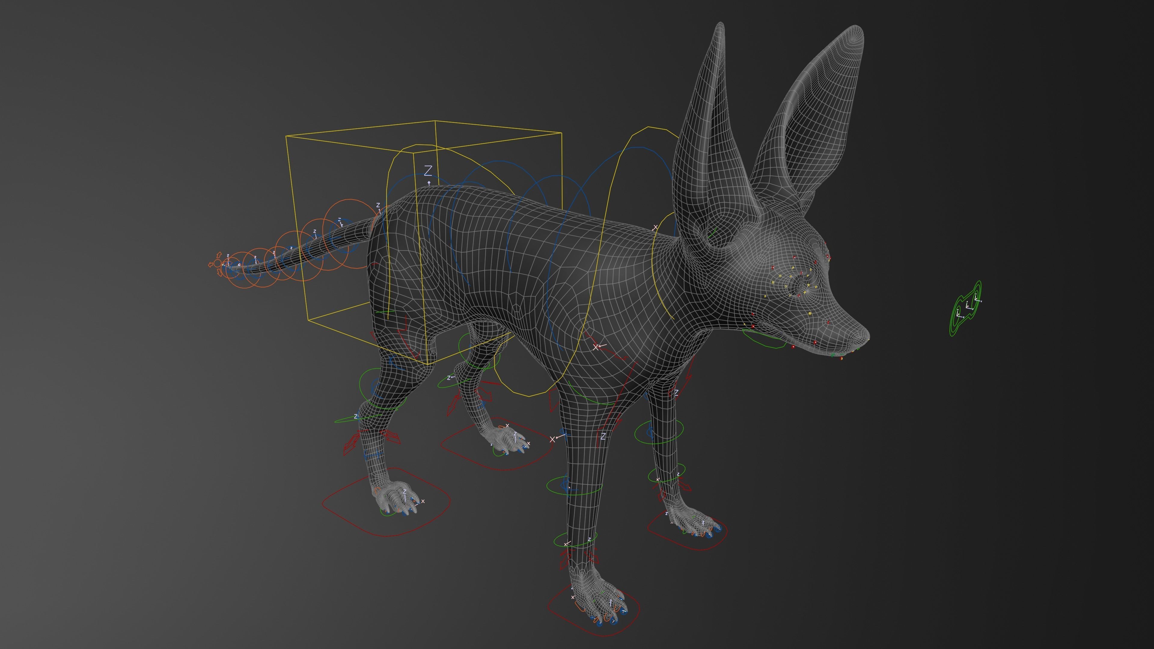 Fennec Fox Realism 3D model Low-poly 3D model_10