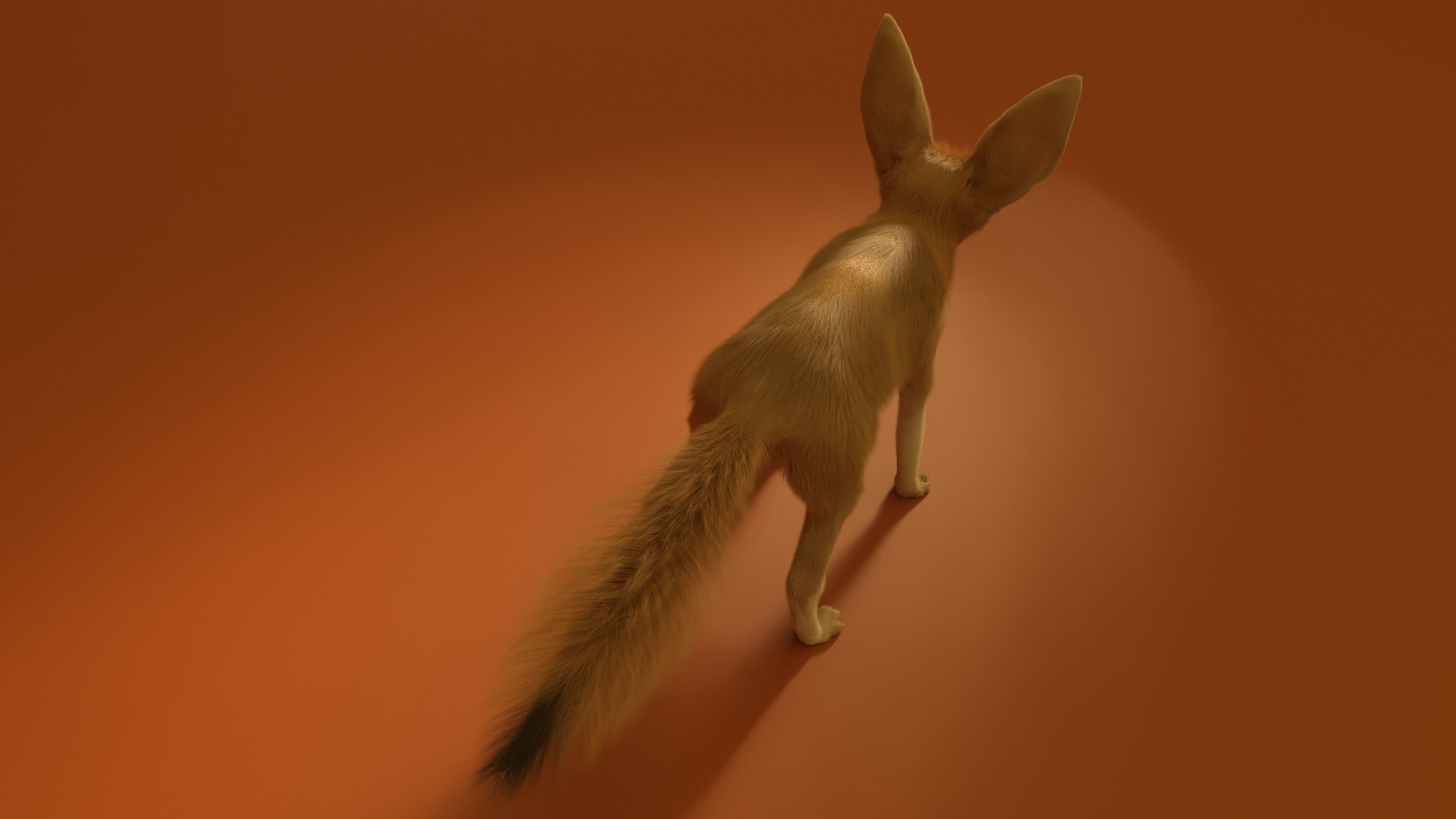 Fennec Fox Realism 3D model Low-poly 3D model_6