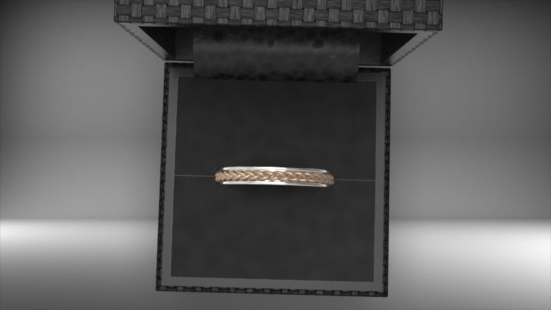 ring for young women 3D print model_12