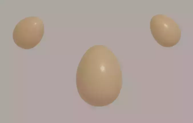 Egg model
