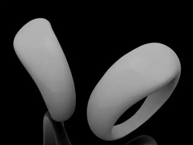 ring prug Free 3D print model_0