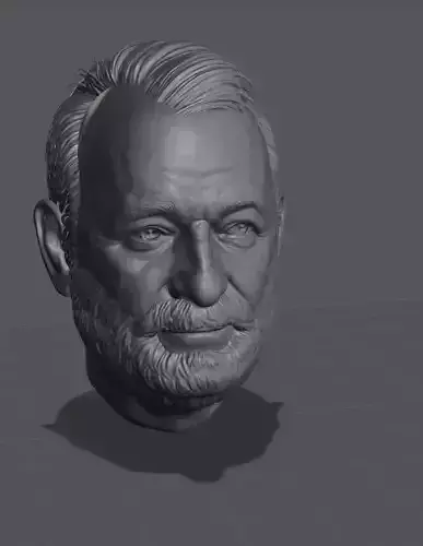 Head Bill Murray 3D print model