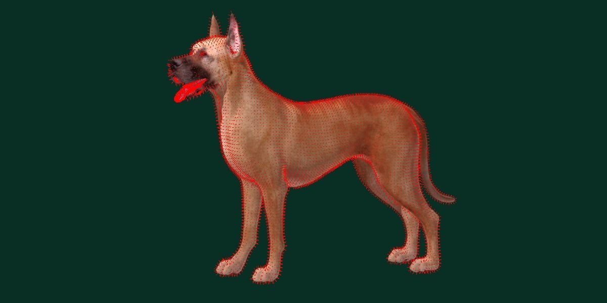 Great Dane Dog Breed  3D model_5