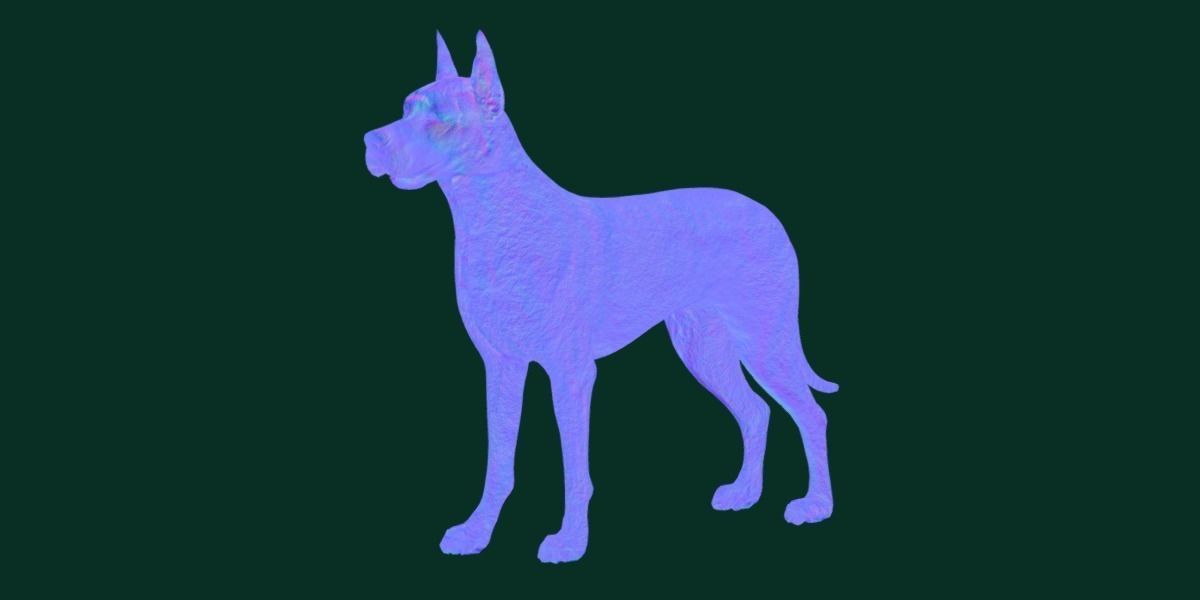 Great Dane Dog Breed  3D model_13