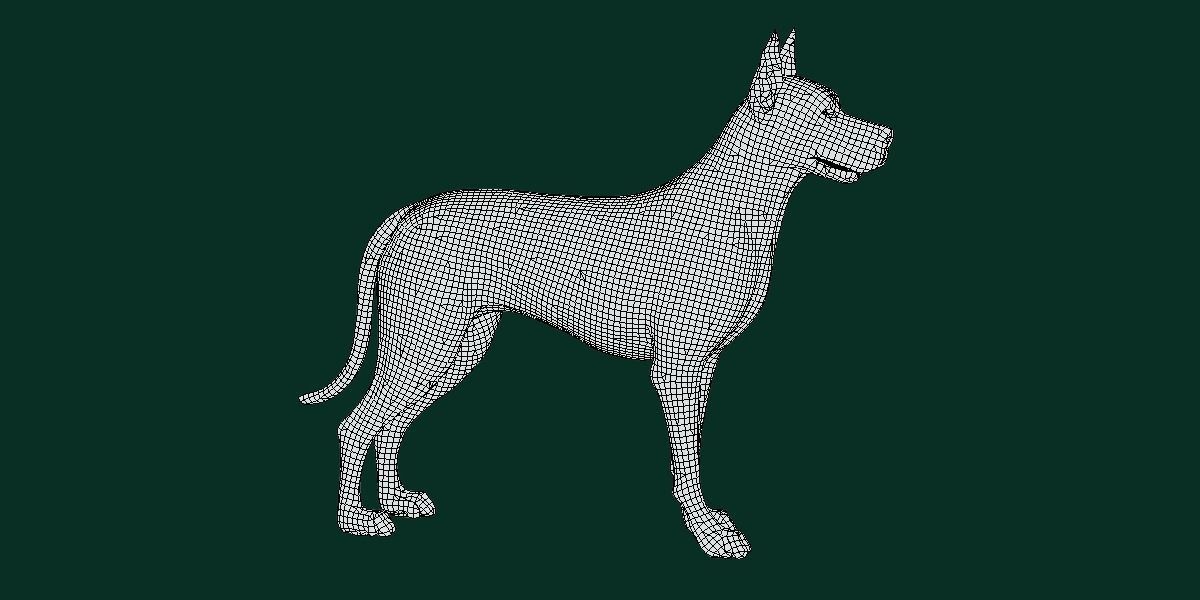 Great Dane Dog Breed  3D model_3