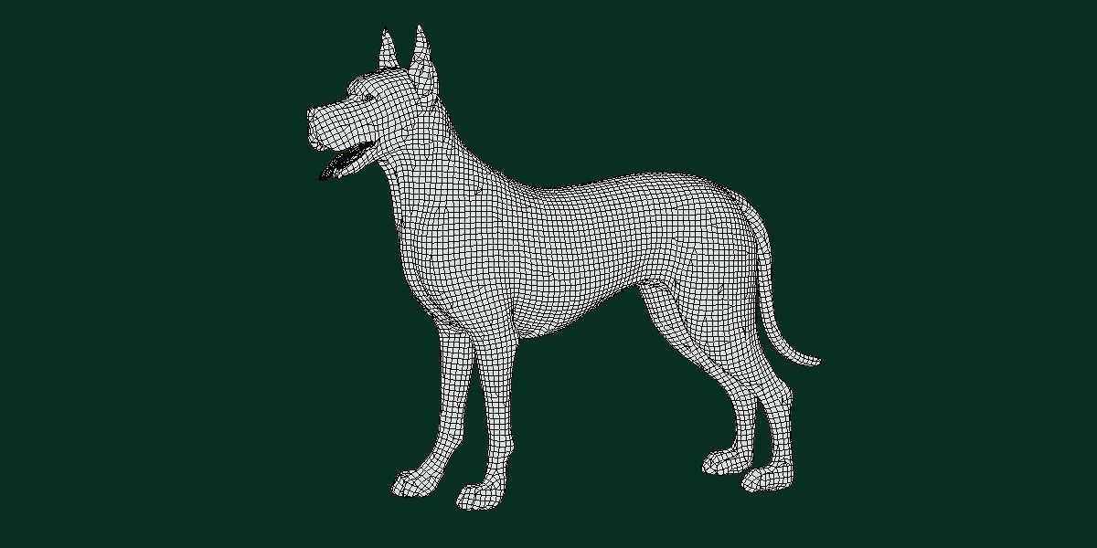 Great Dane Dog Breed  3D model_4
