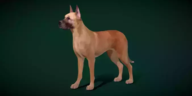 Great Dane Dog Breed  3D model